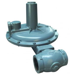 流量計及節(jié)流裝置的研發(fā) 技術(shù)創(chuàng)新與應(yīng)用前景